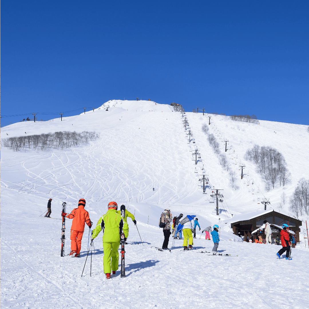 Ski / Board Lessons